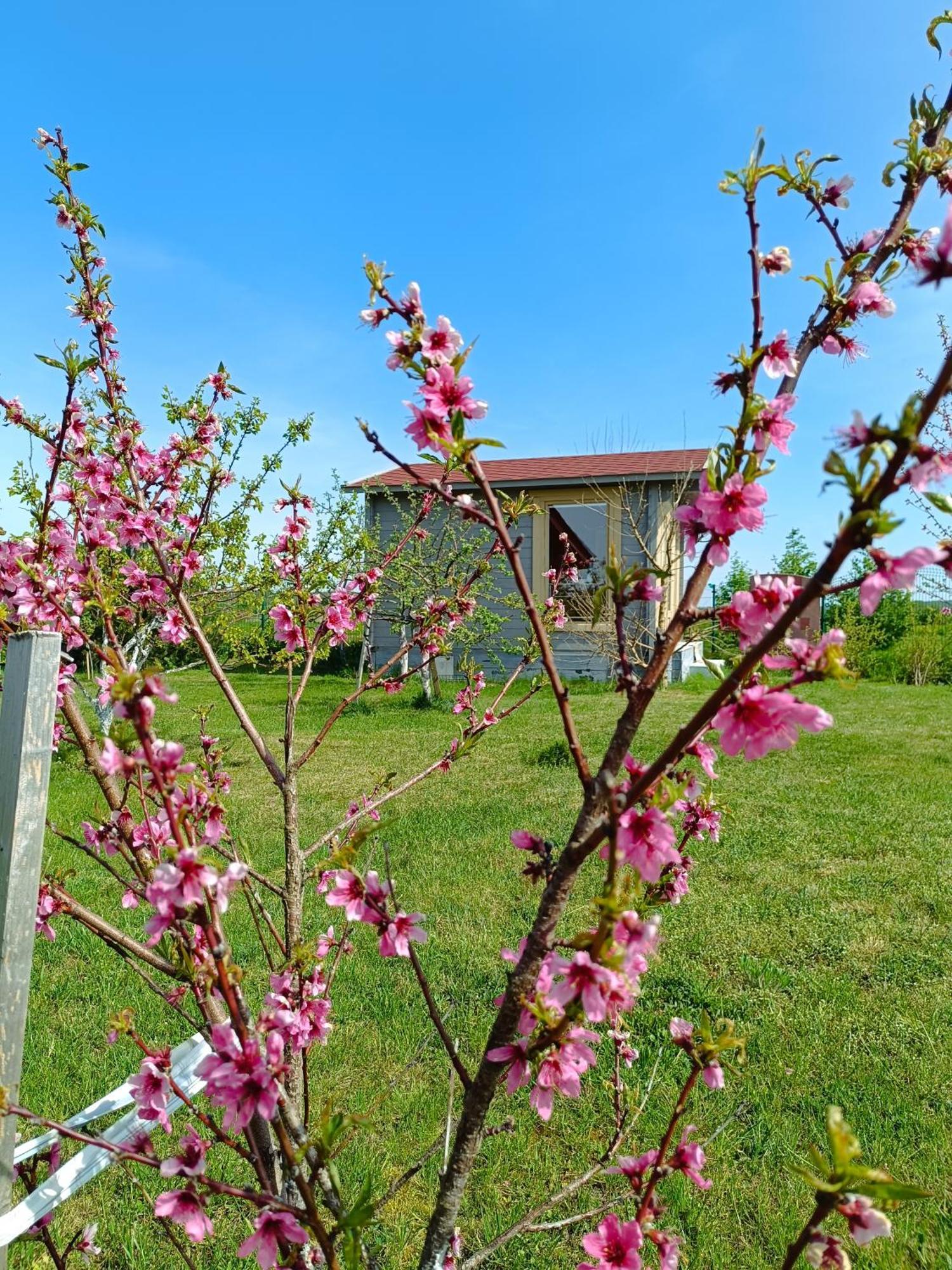 Namelis Karkleje Villa Luaran gambar